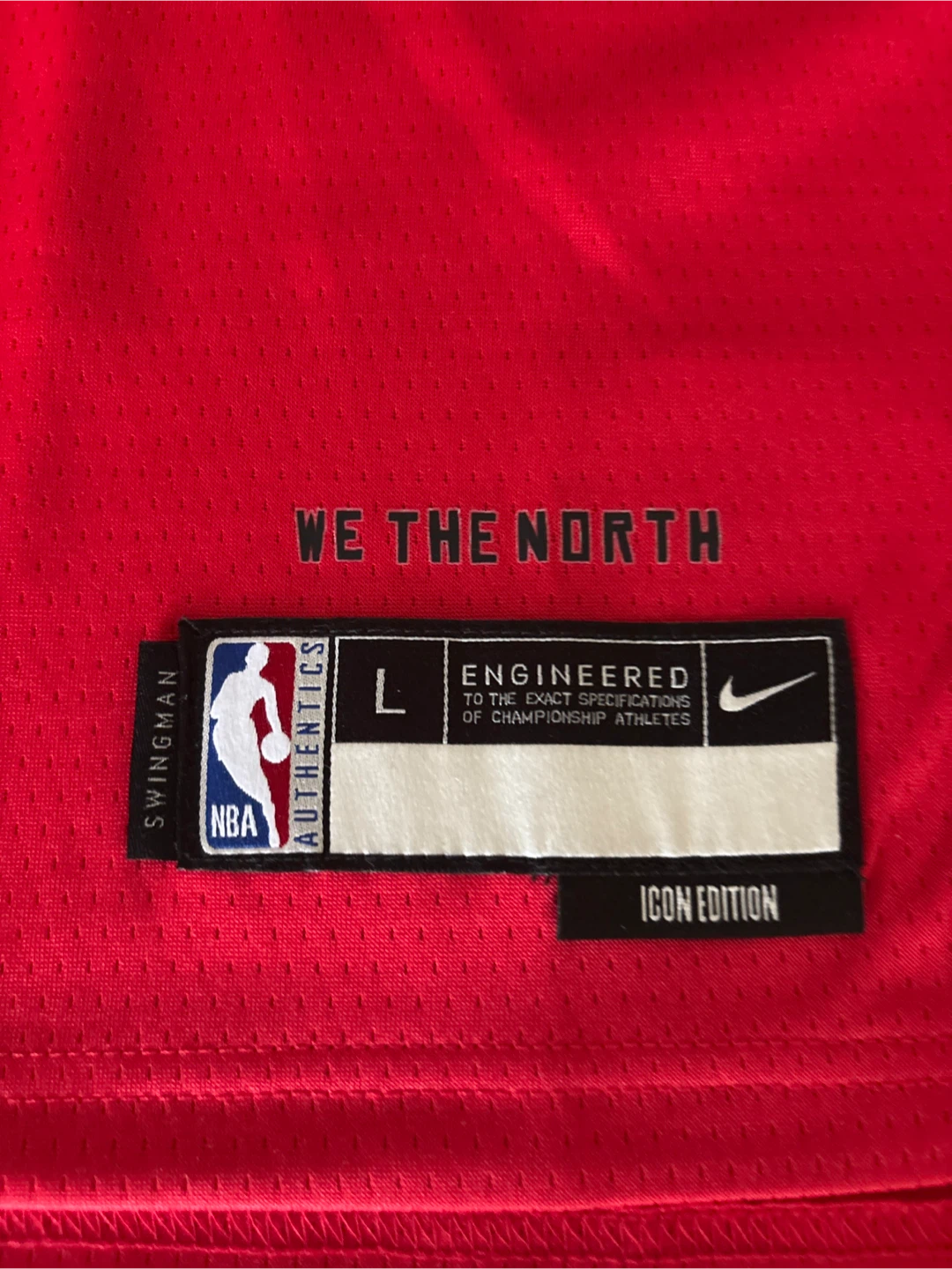 Nike Toronto Raptors #3 Brandon Ingram Basketball Jersey - photo 3