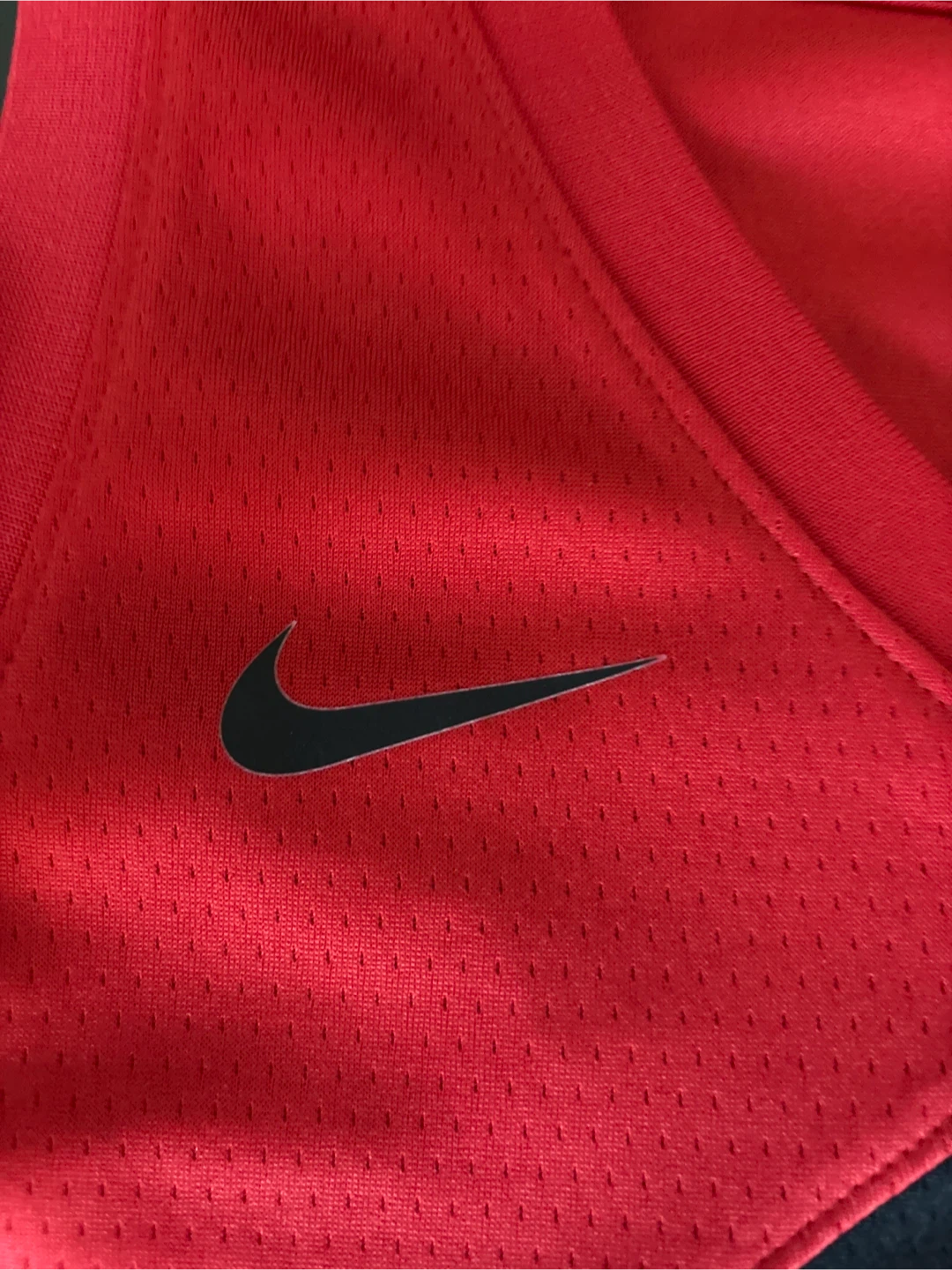 Nike Toronto Raptors #3 Brandon Ingram Basketball Jersey - photo 5