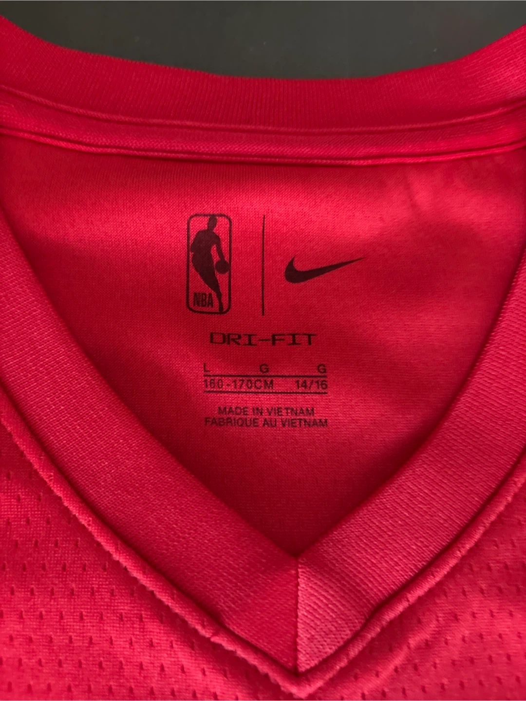 Nike Toronto Raptors #3 Brandon Ingram Basketball Jersey - photo 4