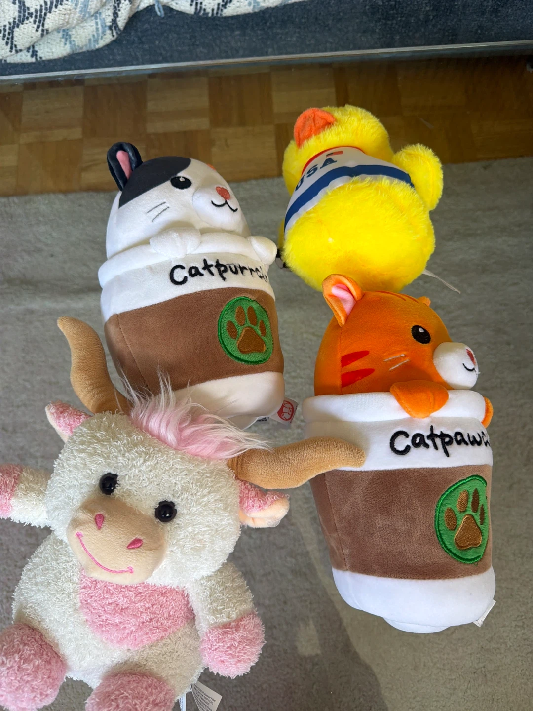 Set of 4 Plush Dog Squeaky Toys