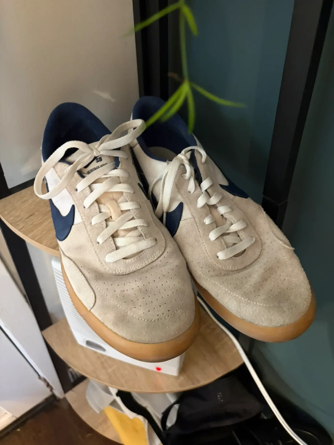 Nike SB Sneakers