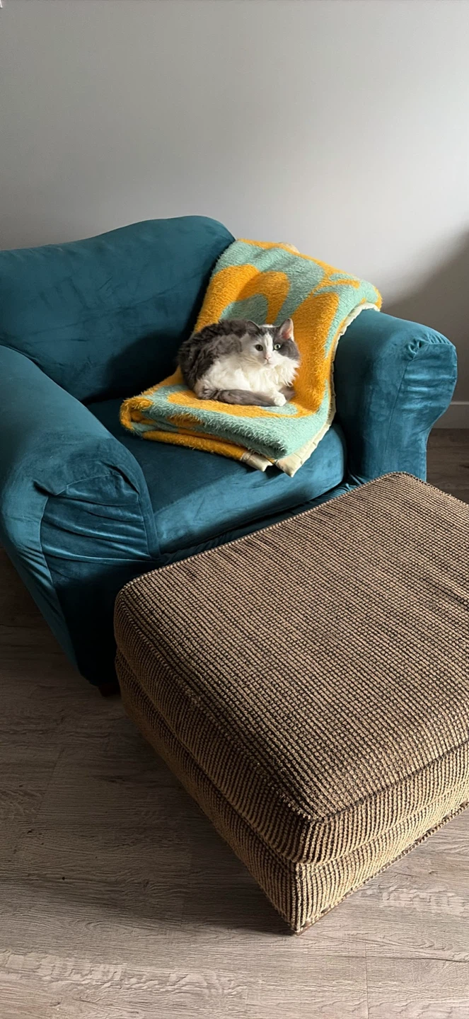 Couch, armchair and ottoman with covers