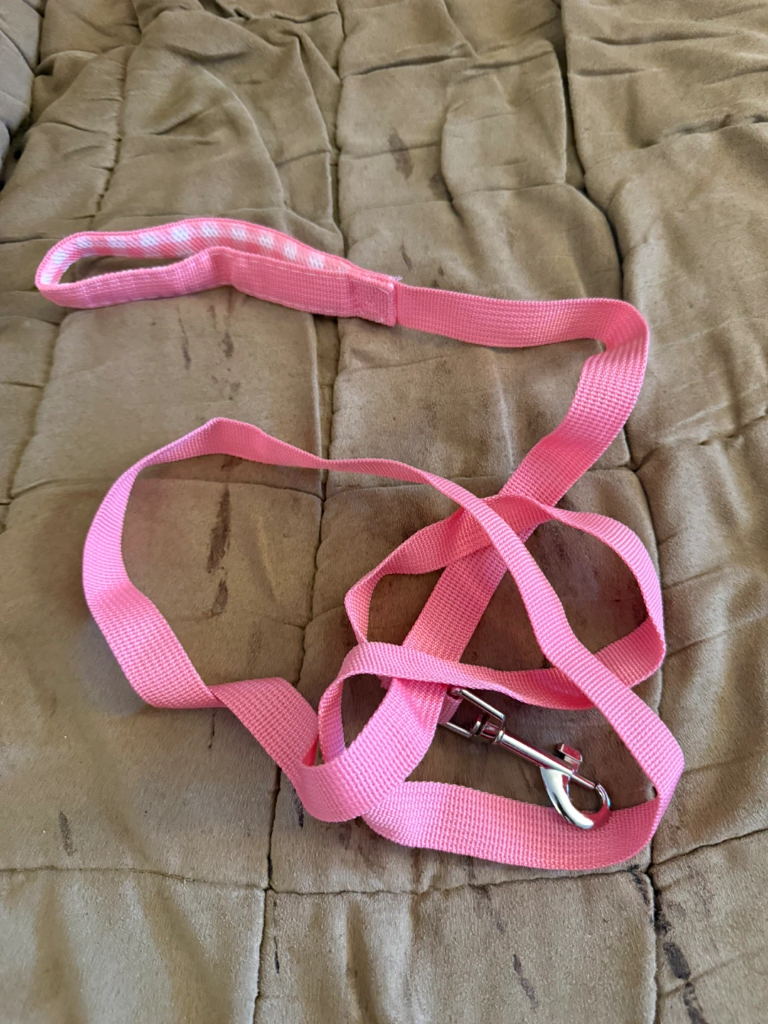 Flexi Retractable Dog Leash & Pink Dog Leash Set - photo 2