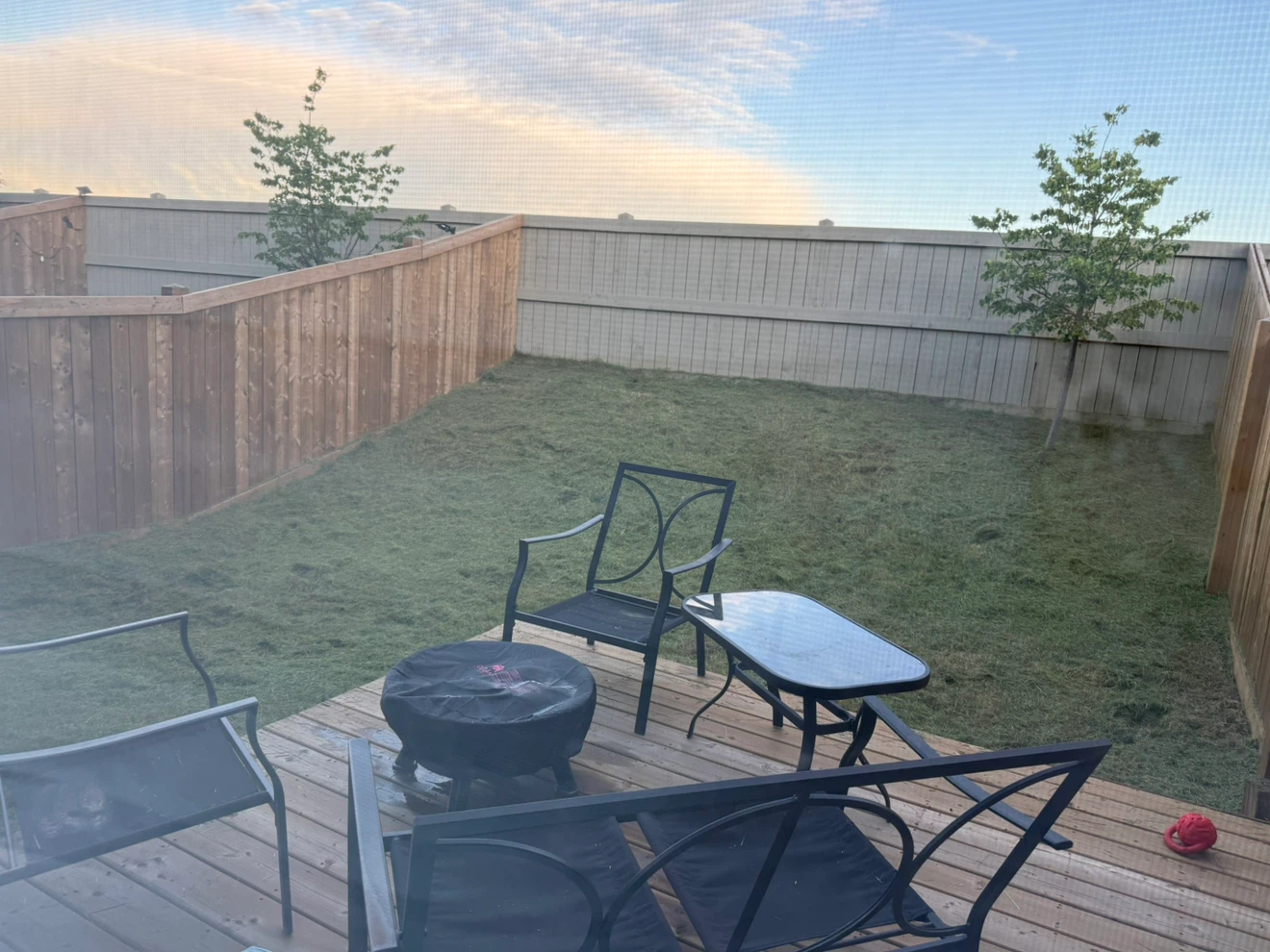 Looking for a clean roommate - photo 3