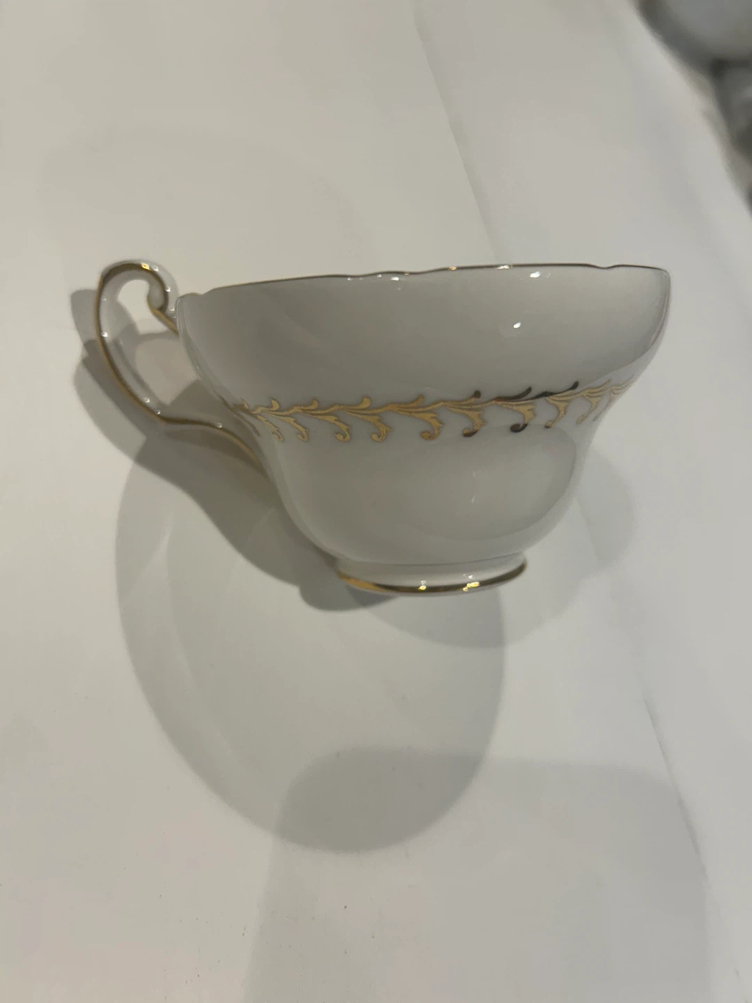 Vintage 1950s E.B. Foley Cabbage Rose Bone China Tea Cup - photo 5