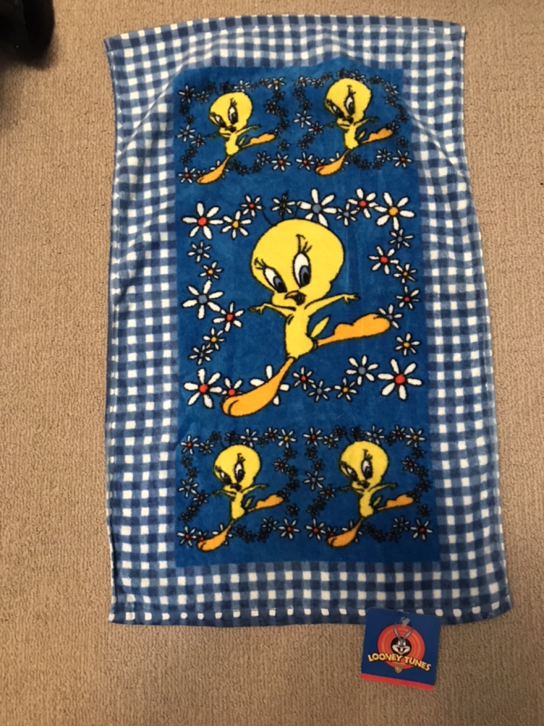 Looney Tunes Tweety Bird Towel