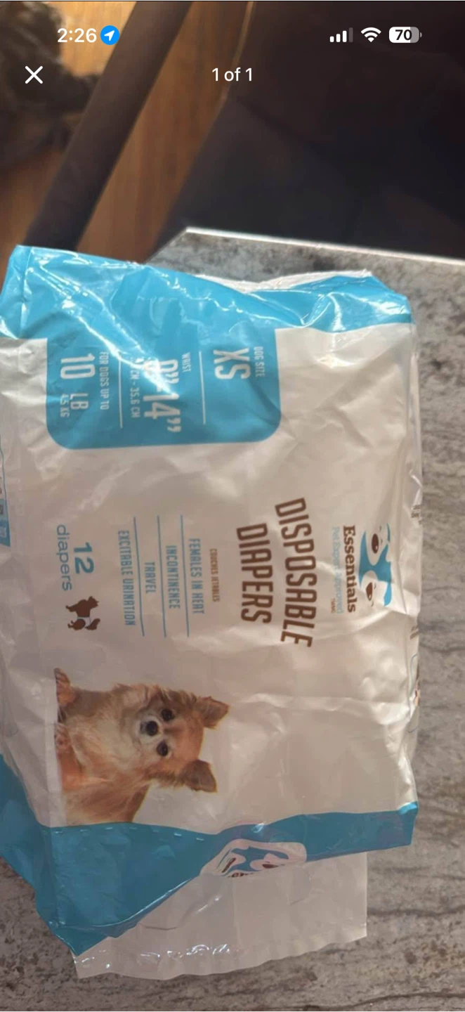 Dog diapers