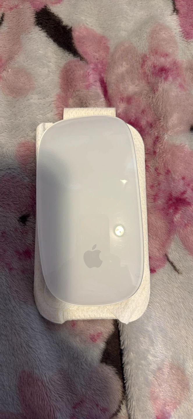 Apple Magic Mouse