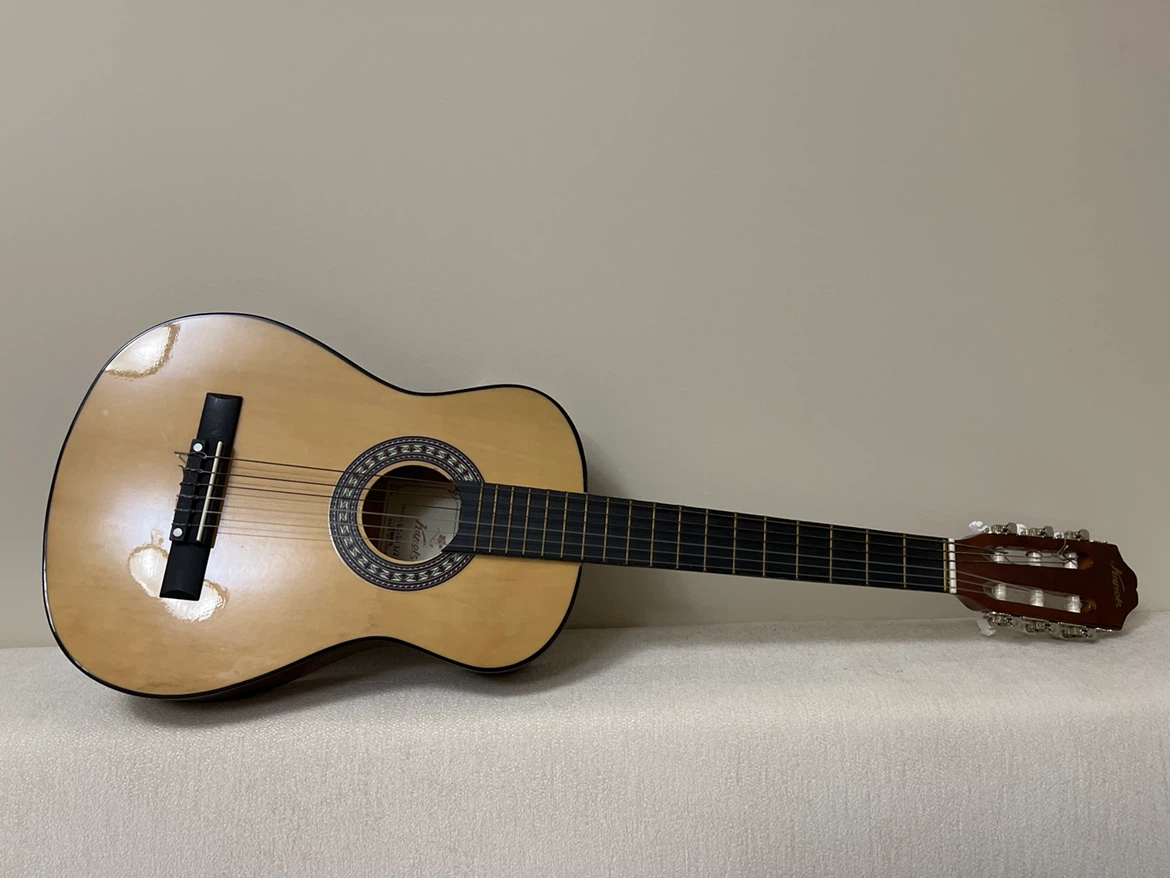 Guitar Basic - photo 2