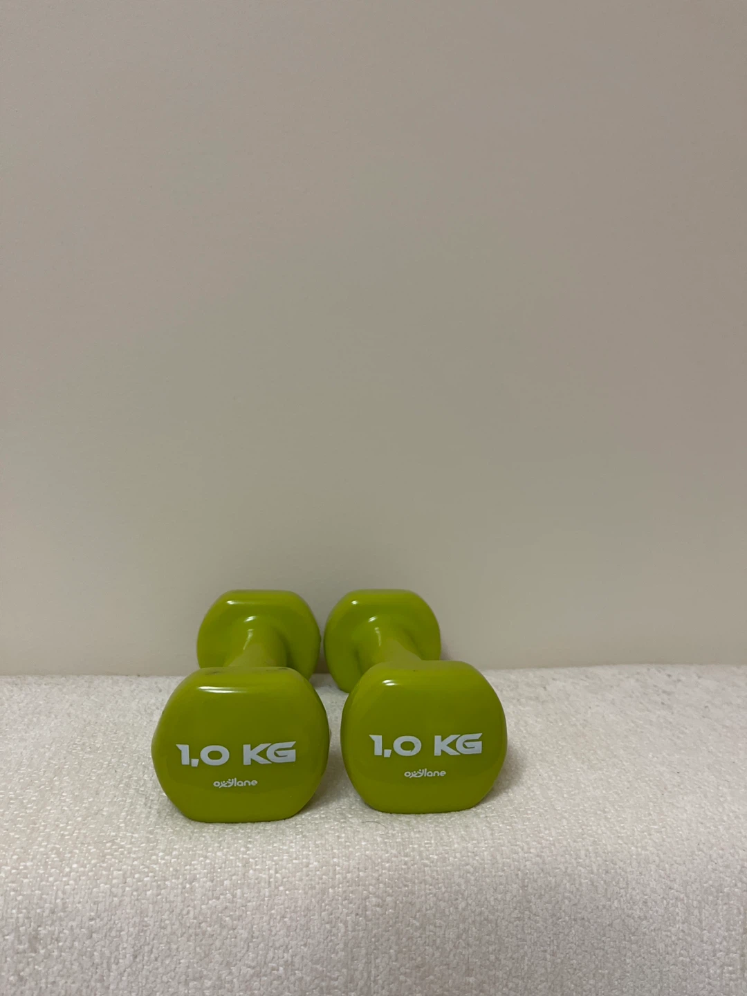 1kg Dumbbells (2.2lbs)