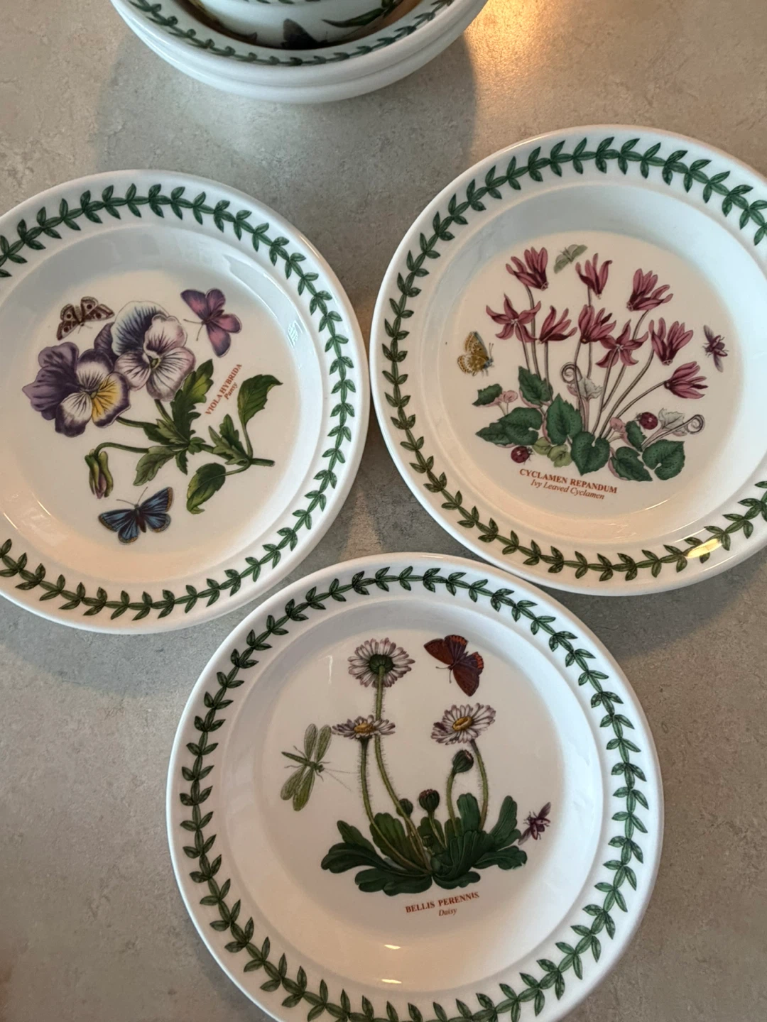 Portmeirion Botanic Garden Plates - Set of 3 - photo 2