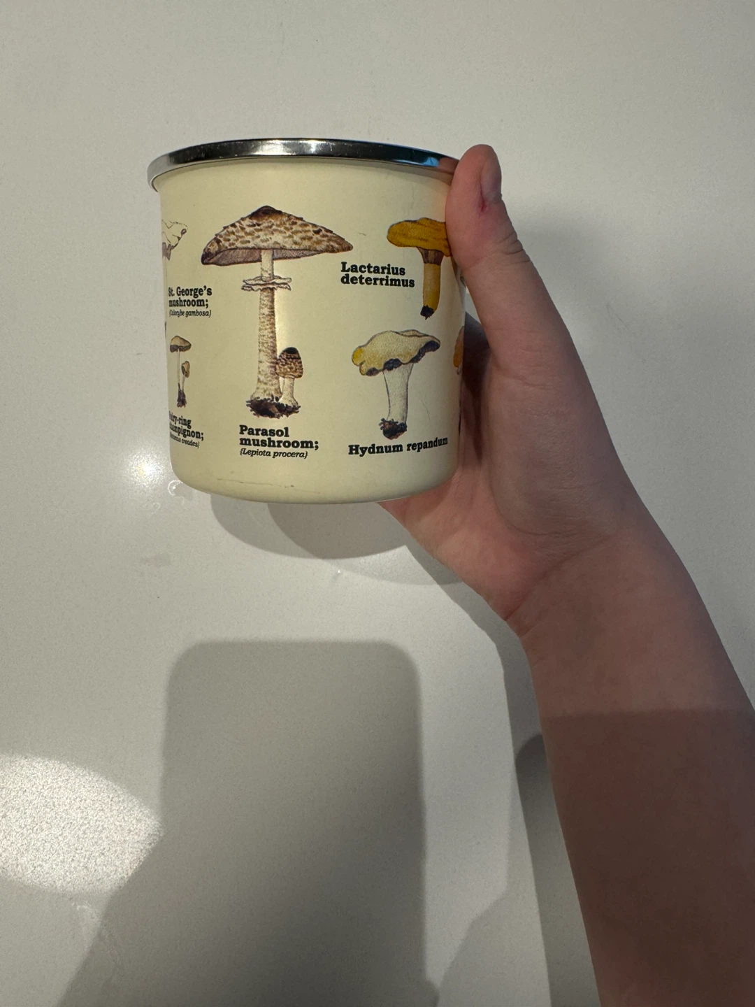 Enamel Mushroom Mug