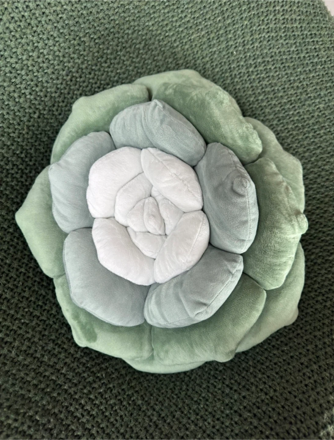 Cozy Succulent Plush Pillow
