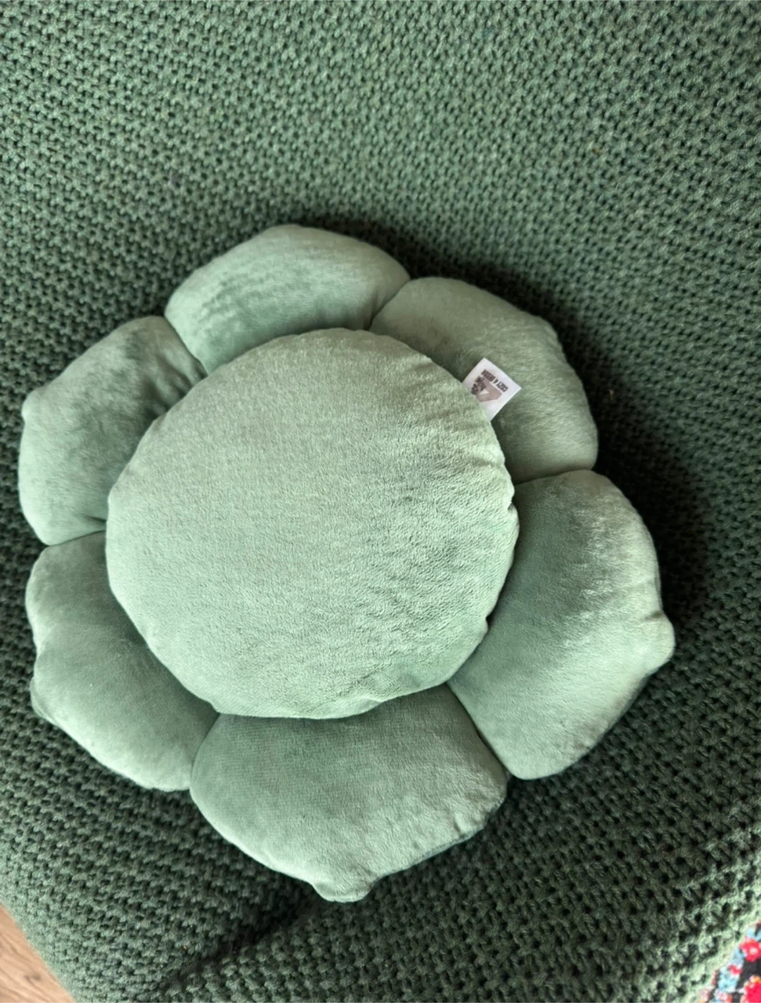 Cozy Succulent Plush Pillow - photo 3