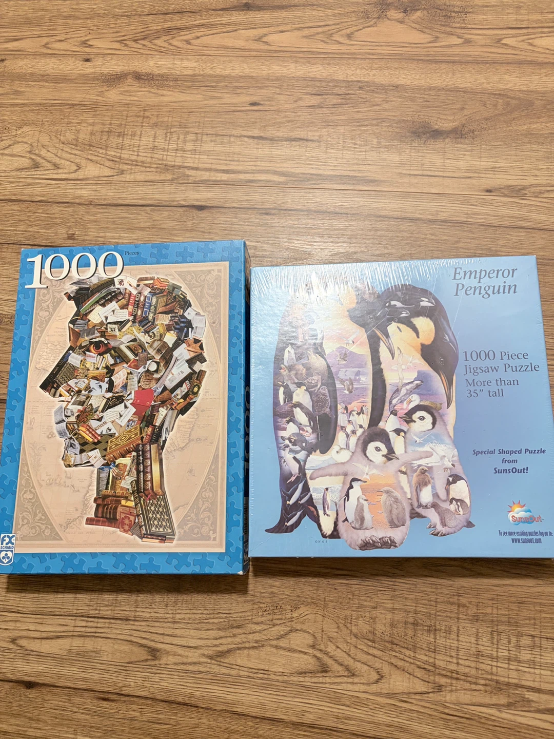 1000 Piece Jigsaw Puzzle