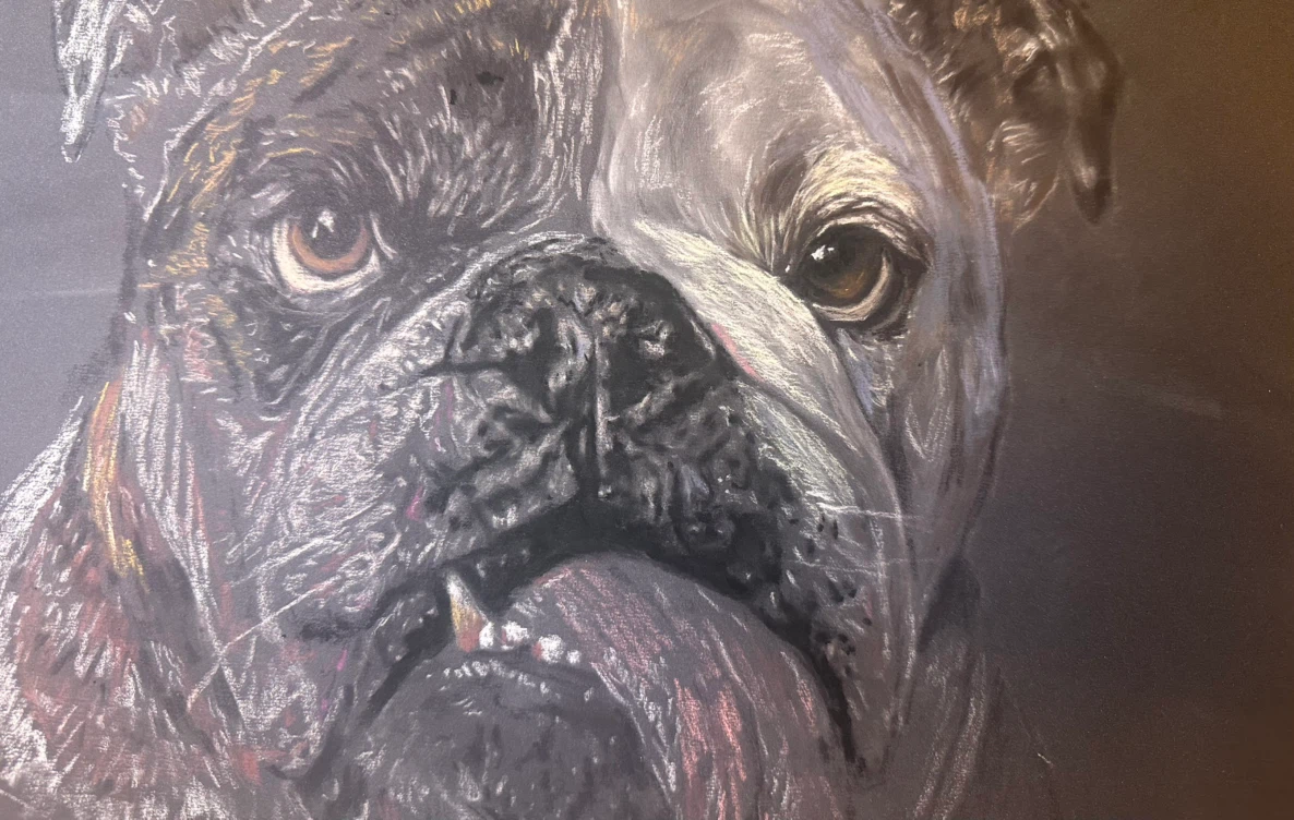 Custom Pet Portraits - photo 4