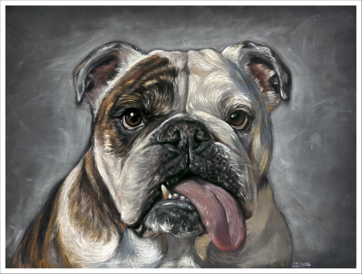 Custom Pet Portraits