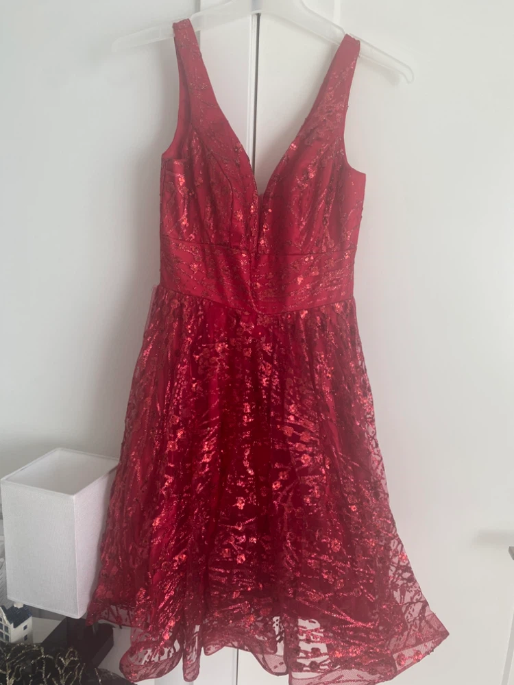 Sparkly Red V-Neck Dress