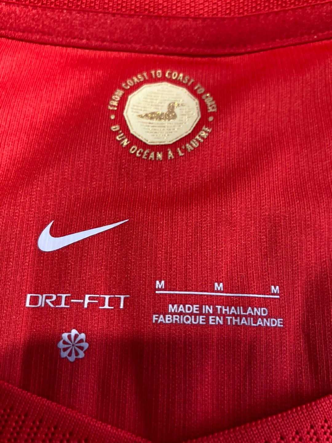 Nike Dri-Fit Davies 19 Canada Soccer Jersey - photo 3