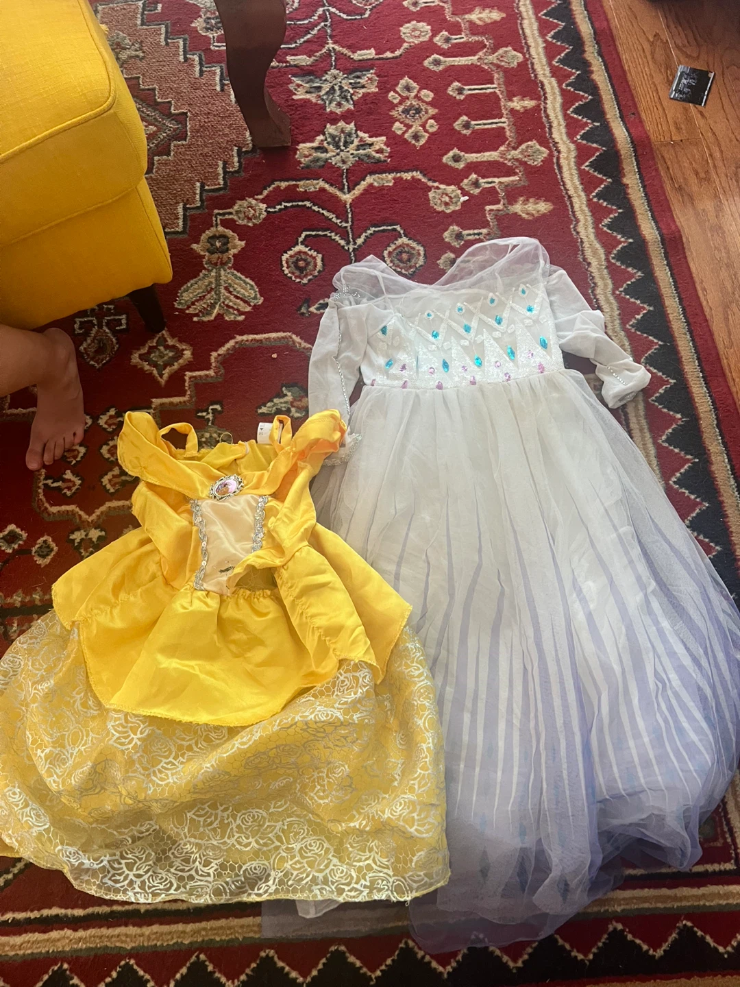 Two Princess Dresses Up Costume