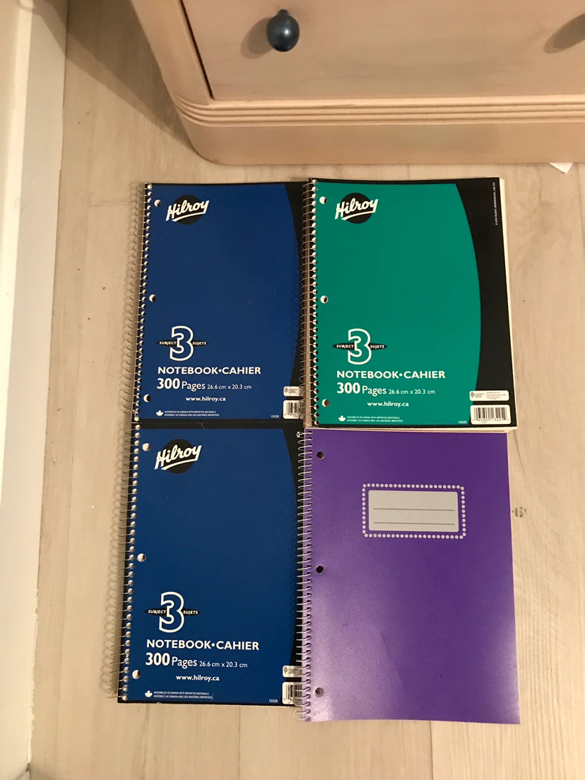 Hilroy 300-Page Notebooks (4-Pack)