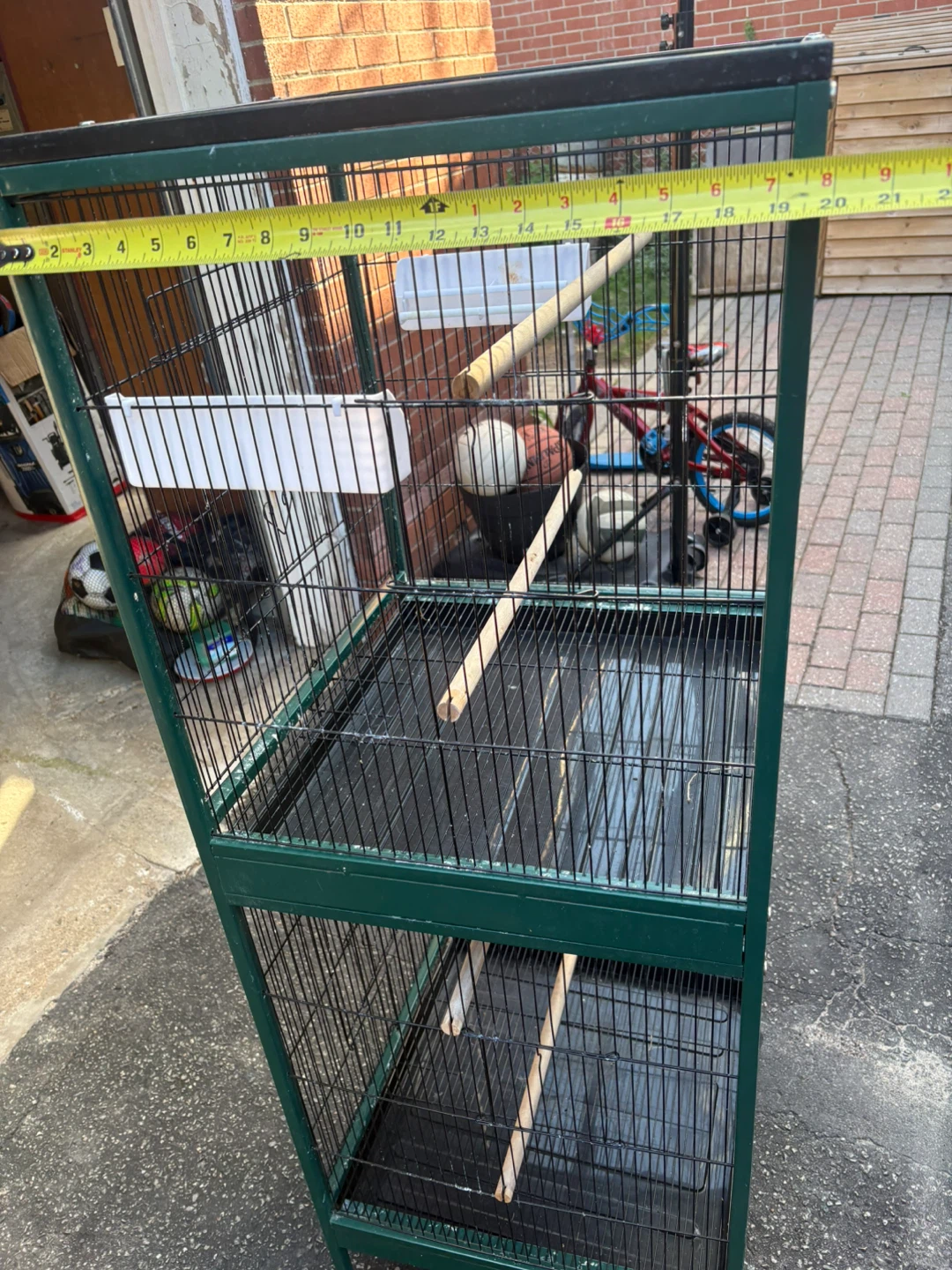 Bird Cage
