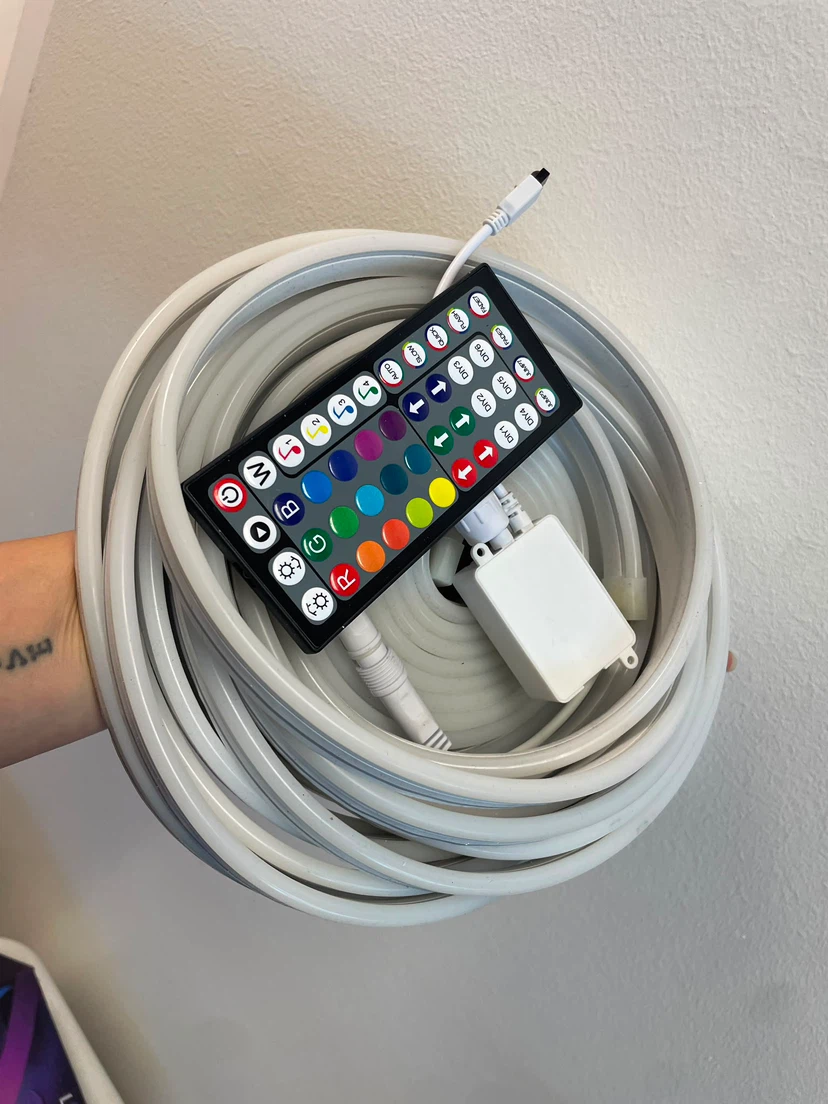 LED Neon Rope Lights with Remote - photo 3