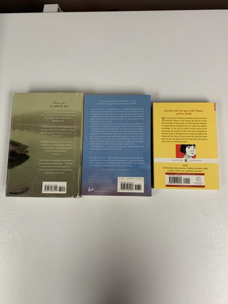 3 Books: Late Nights on Air, The Orphan Girl, Obasan - photo 2