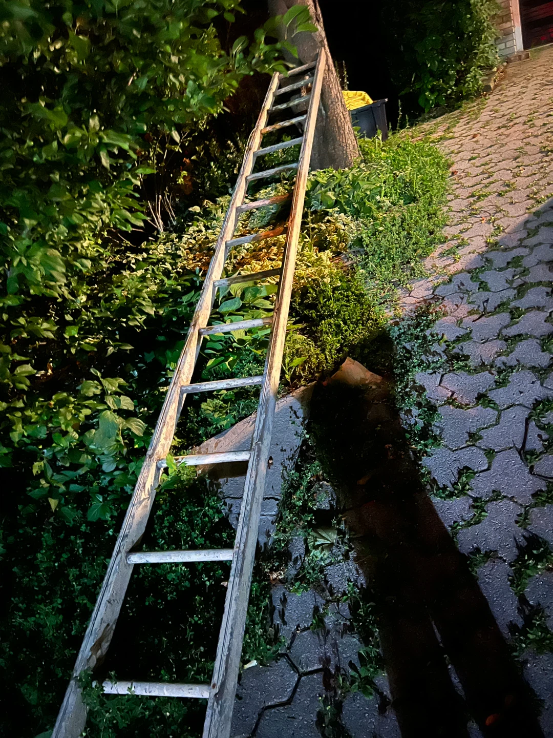 Free Wooden Ladder