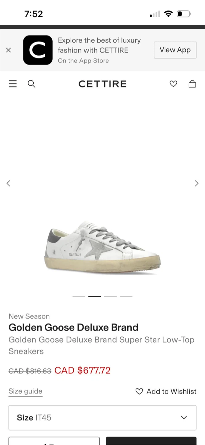 Golden goose - photo 3