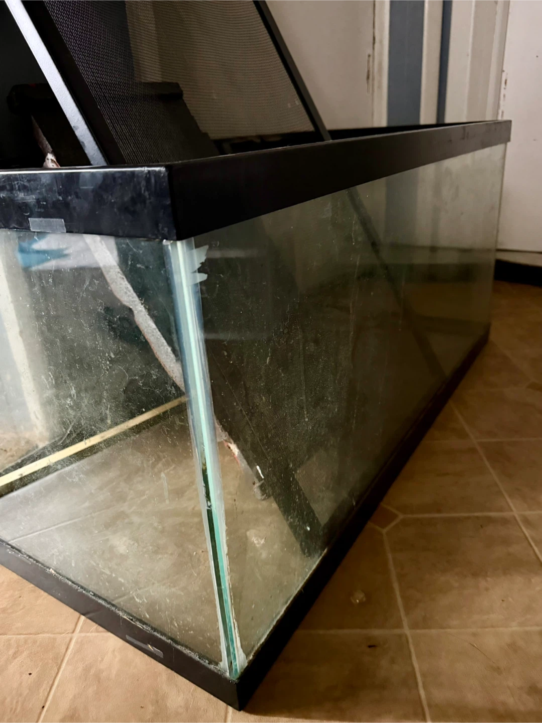 Fish/reptile tank. 40G with lid for reptiles