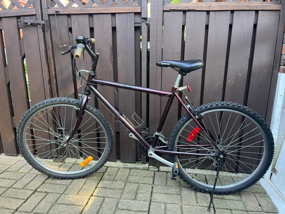 Used Mountain Bike