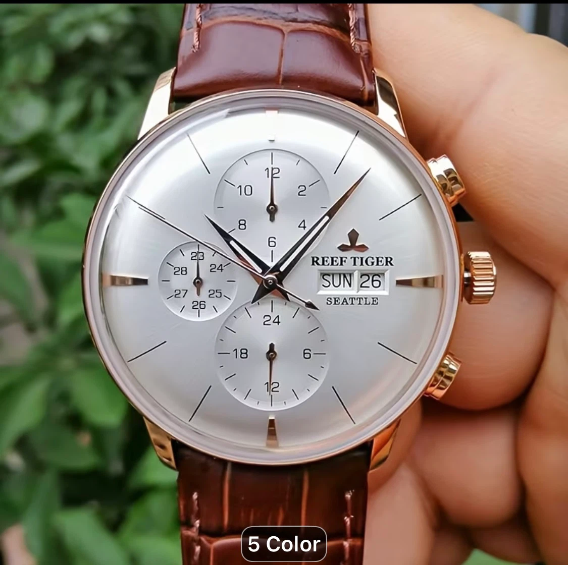 Reef Tiger Chronograph Watch