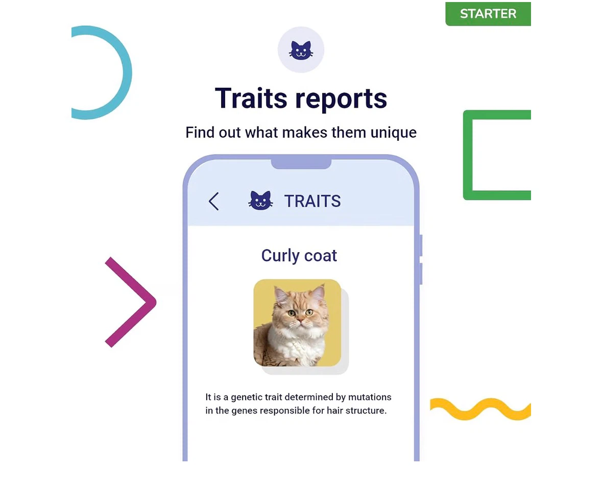 Koko Genetics DNA Test for Cats Starter Kit - photo 4