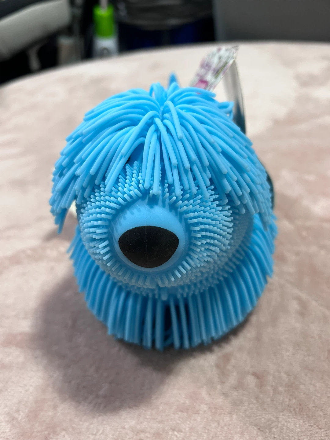 Blue Squishy Dog Toy