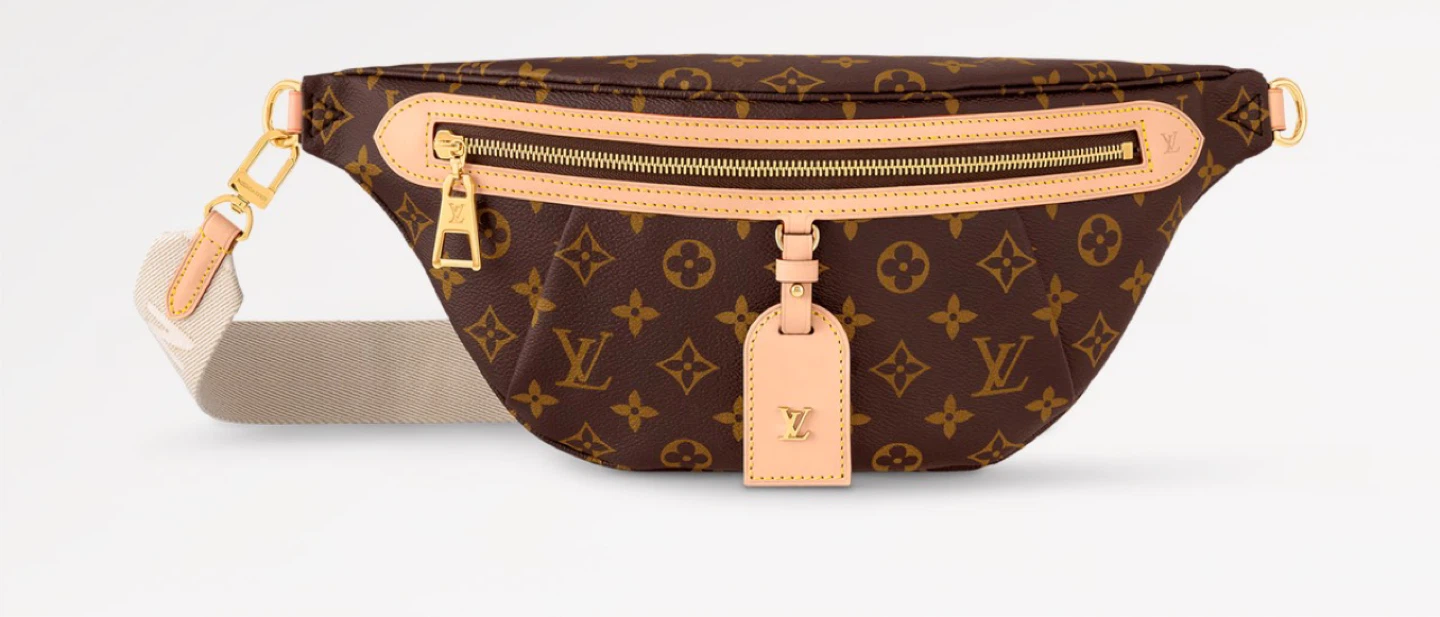 Louis Vuitton Monogram Bum Bag