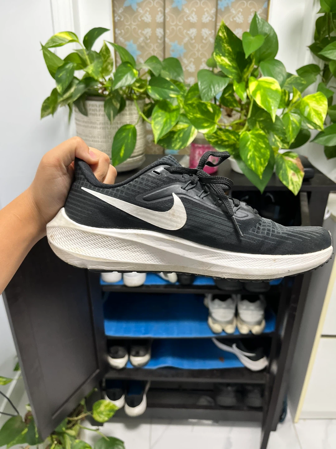 Nike Running Shoes