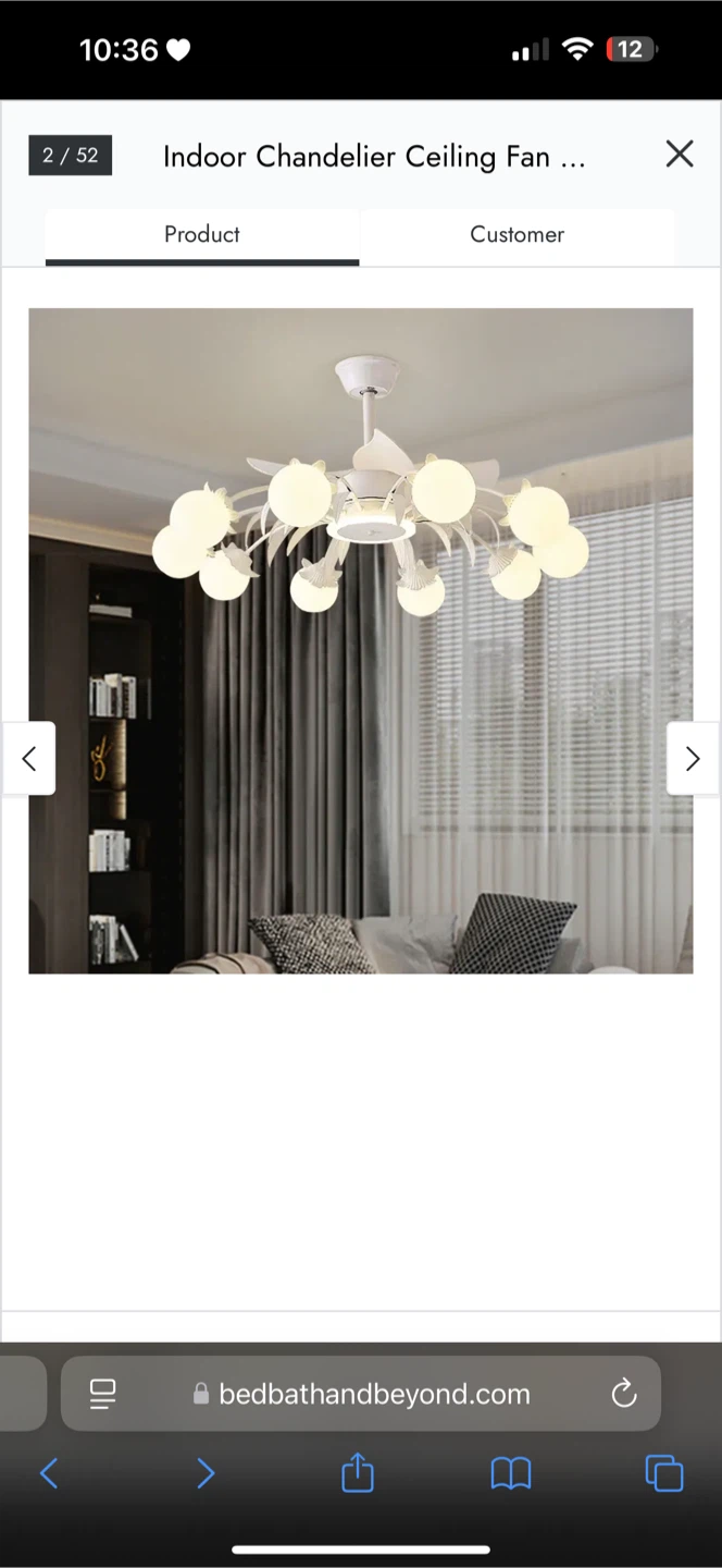 Indoor Chandelier Ceiling Fan - photo 2