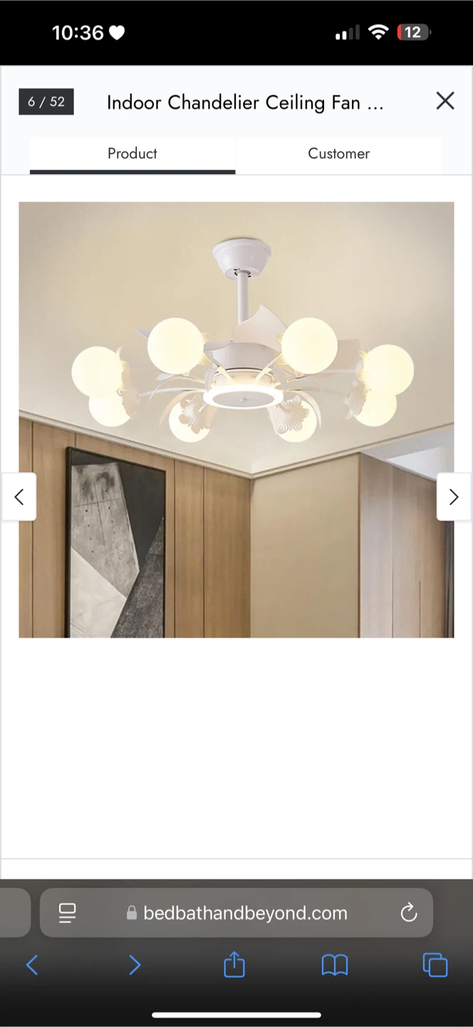 Indoor Chandelier Ceiling Fan - photo 3