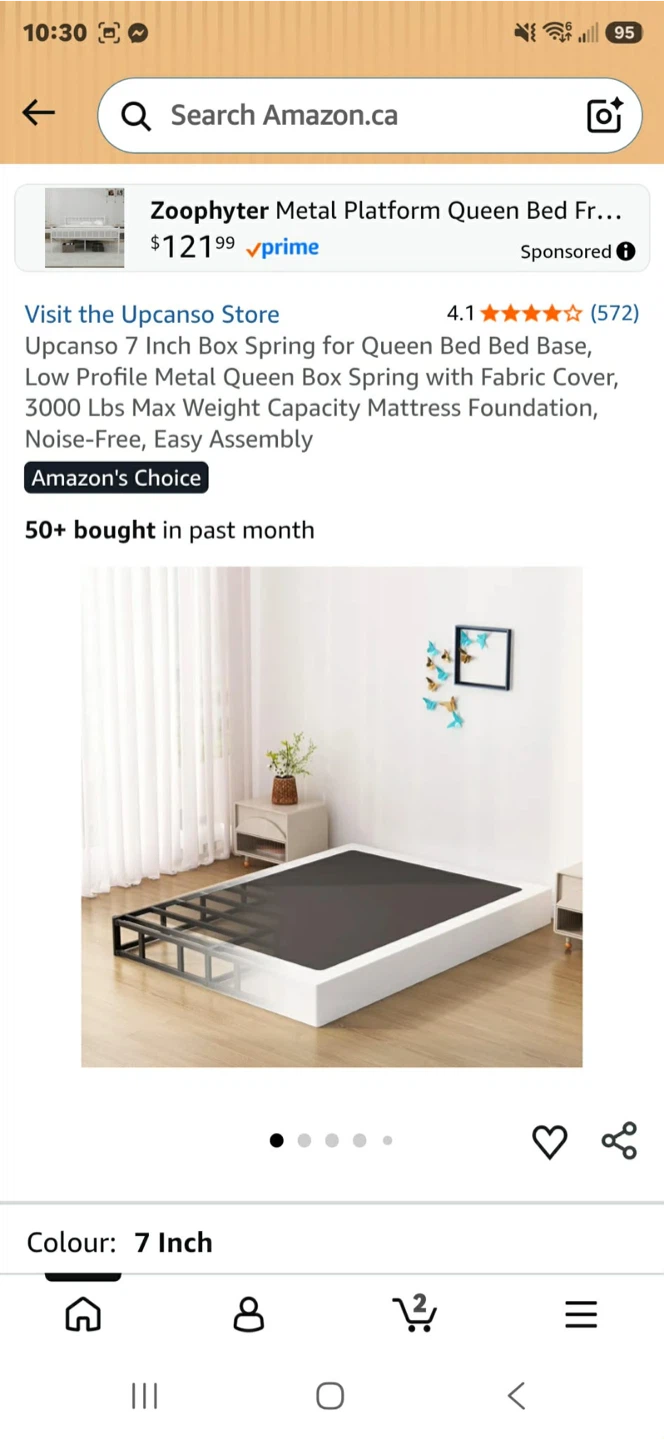 Zoophyter Metal Platform Queen Bed Frame