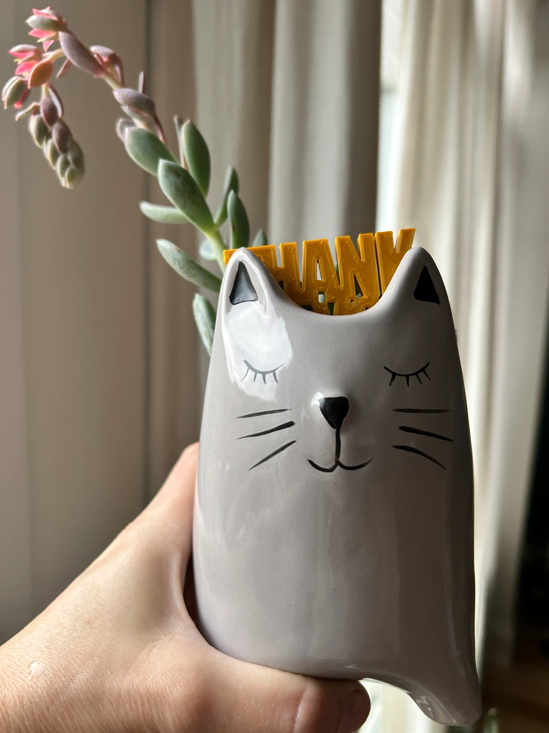 Assorted Plant Gifts ($10-15 each)