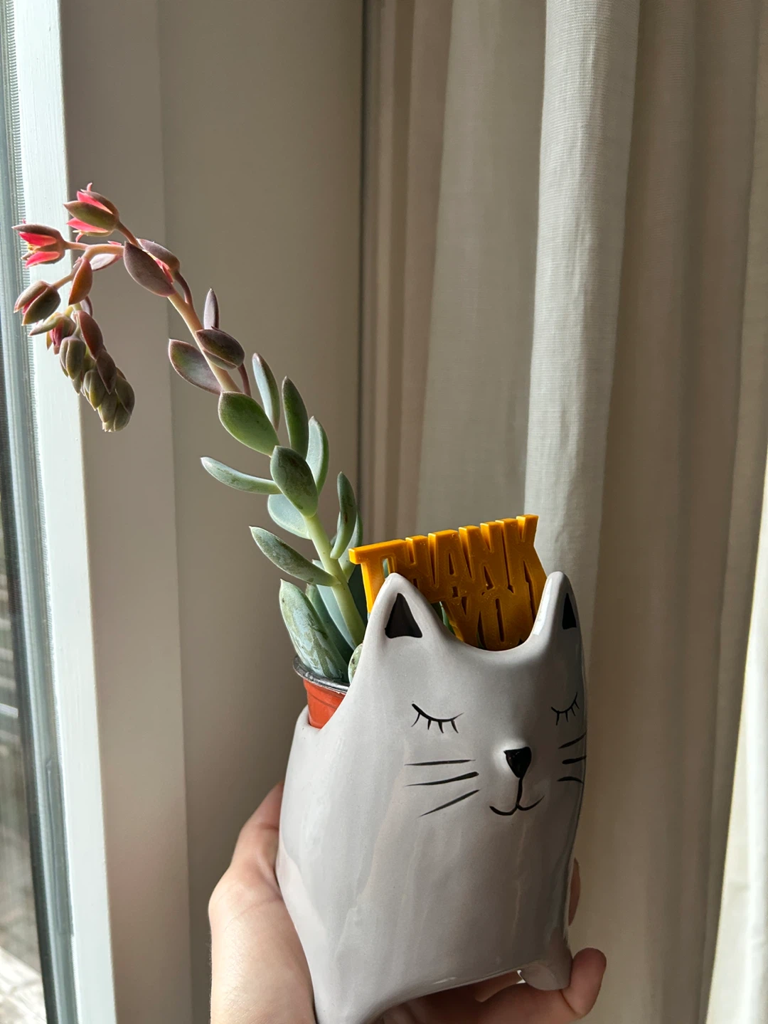 Assorted Plant Gifts ($10-15 each) - photo 2