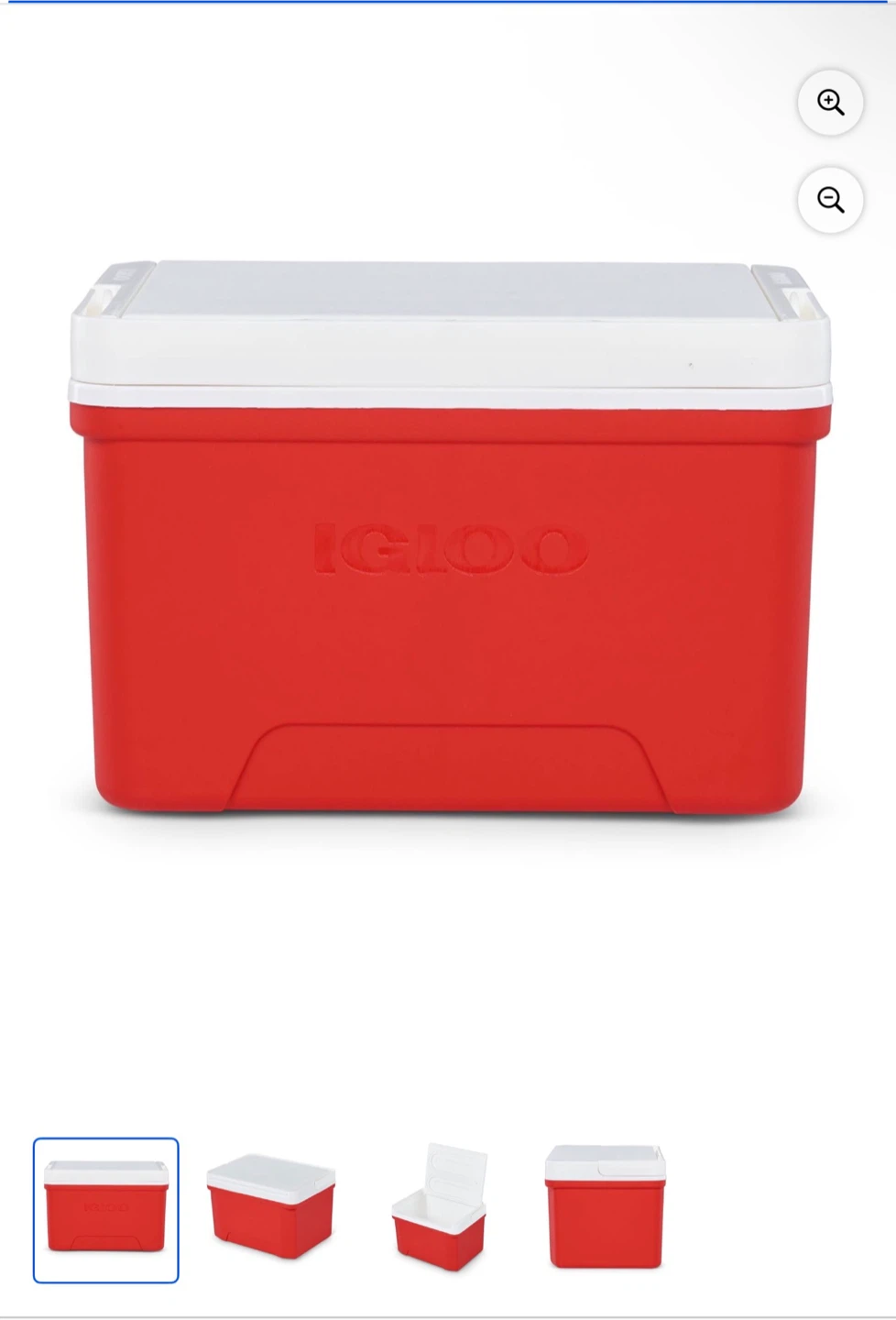 Igloo Cooler Box