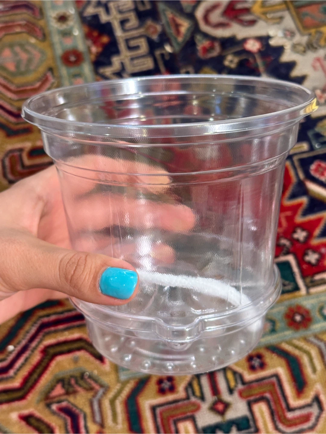 🆕 Transparent Planter & Saucer Sets x20
