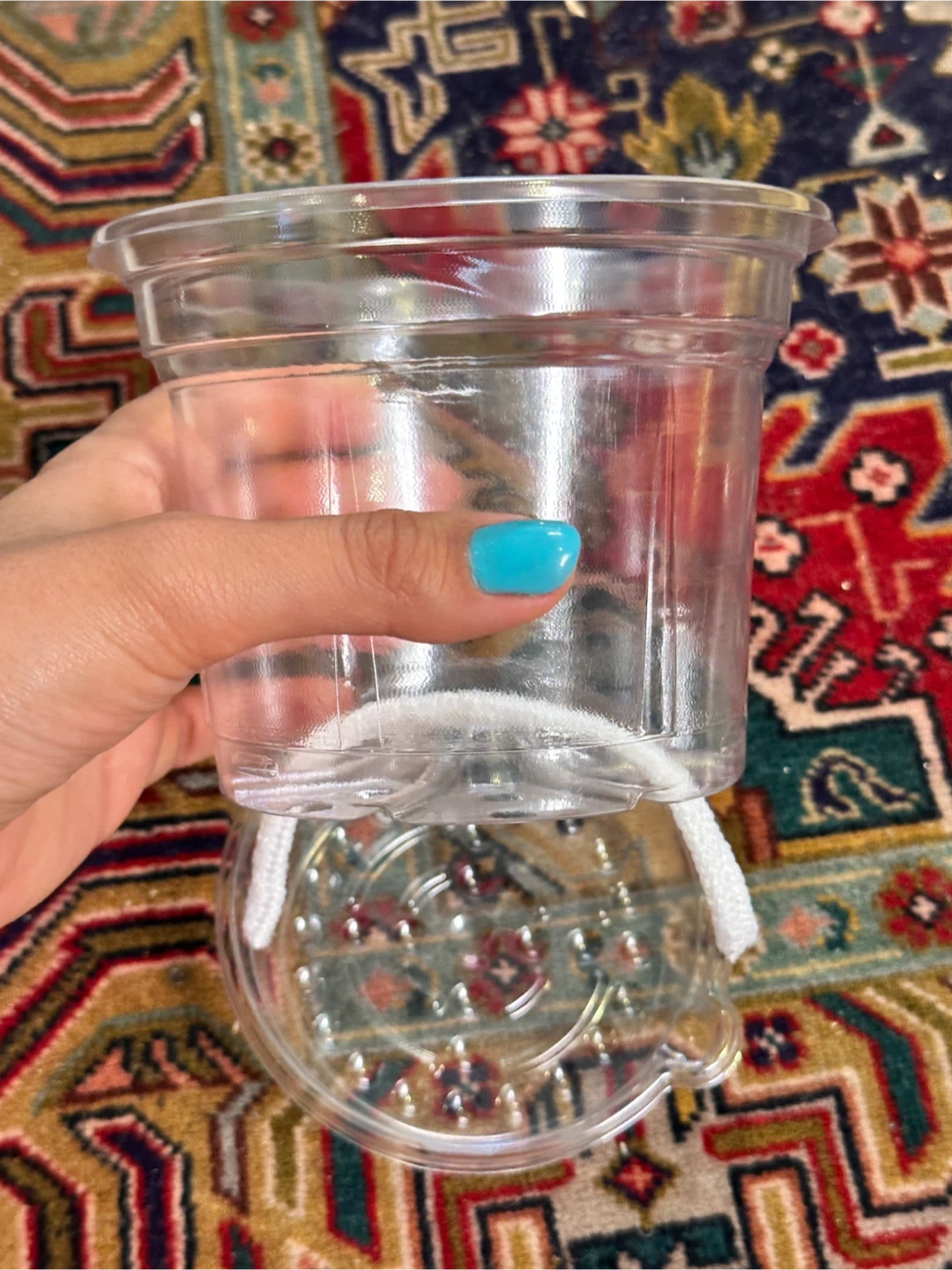 🆕 Transparent Planter & Saucer Sets x20 - photo 4