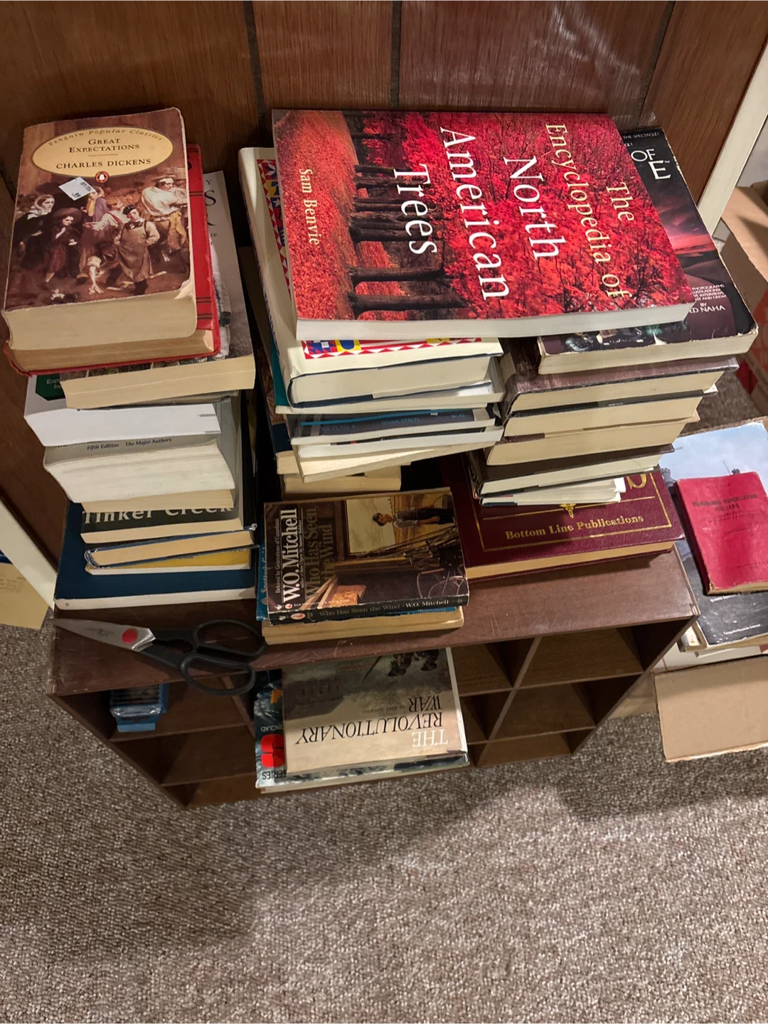 Cousteau books and much more - photo 4