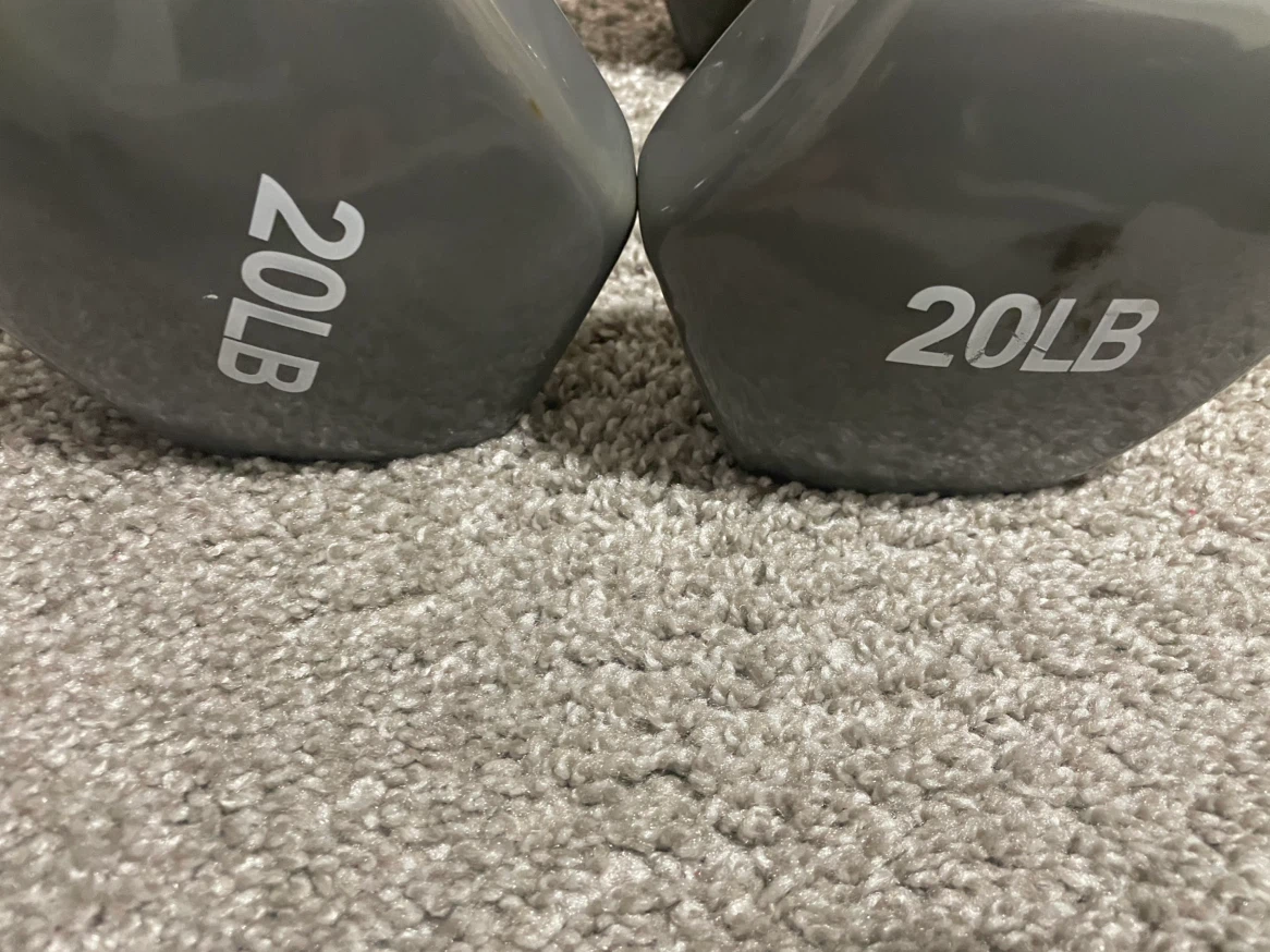 20lb Dumbbells (Pair)