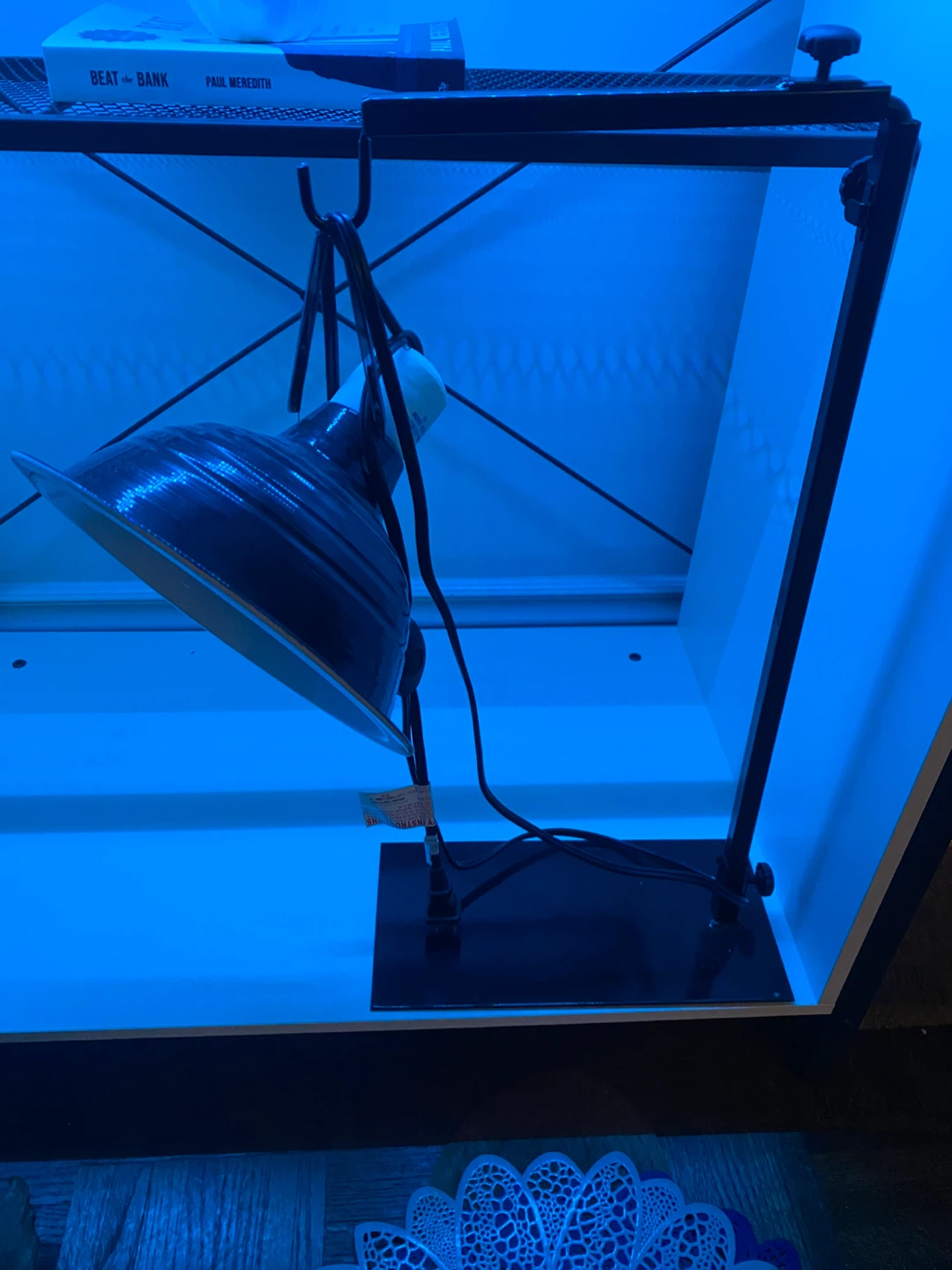 Reptile heat lamp with stand