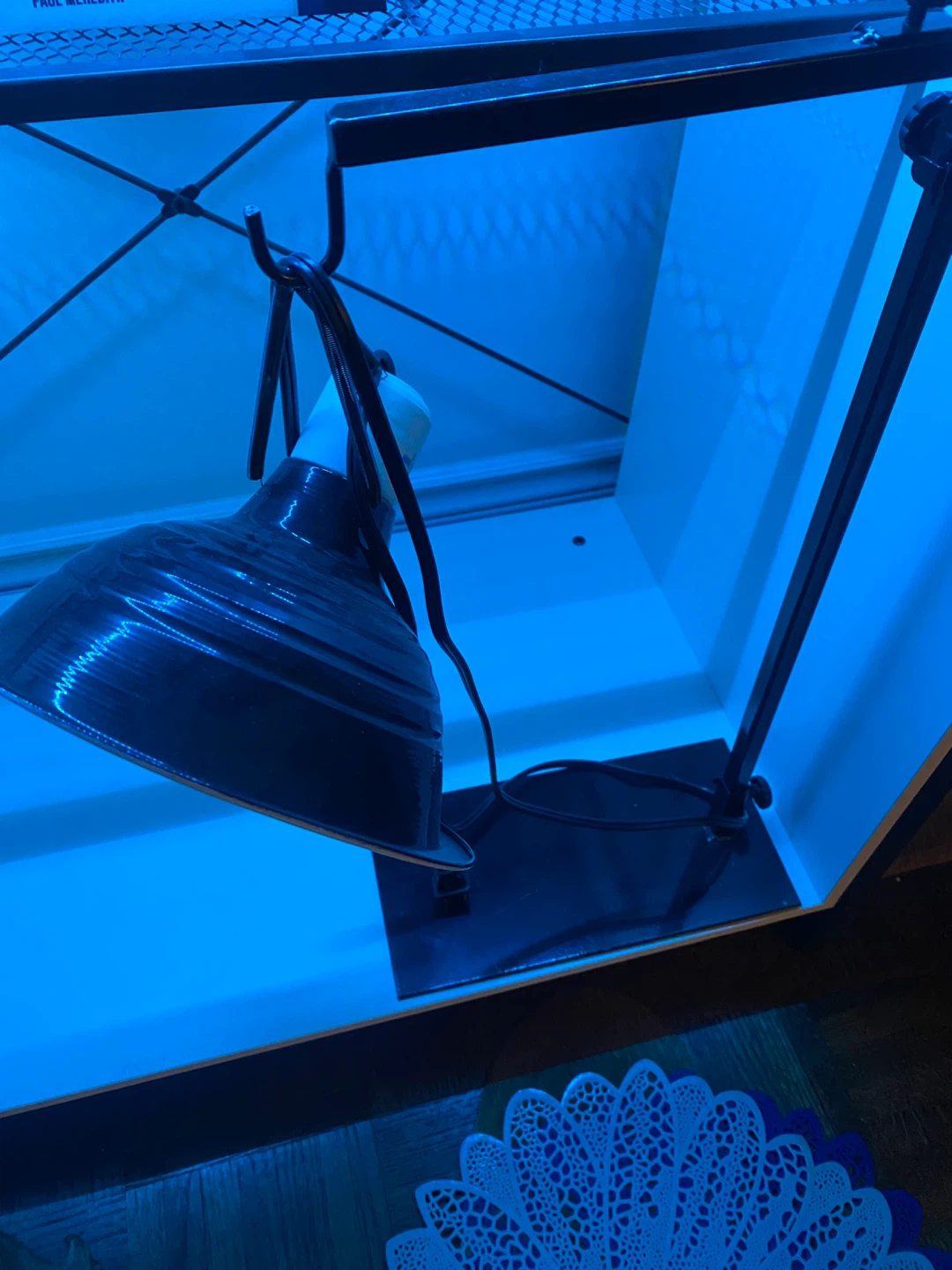 Reptile heat lamp with stand - photo 4