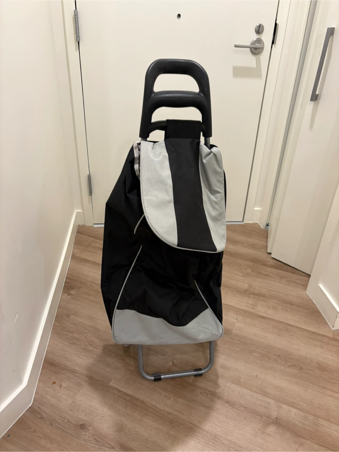 Shopping Cart Trolley Bag